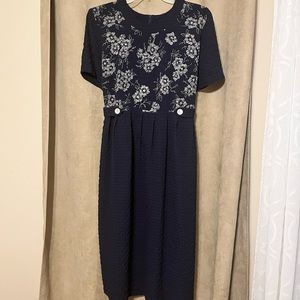Vintage Lady Dorby Plus Size Midi Dress